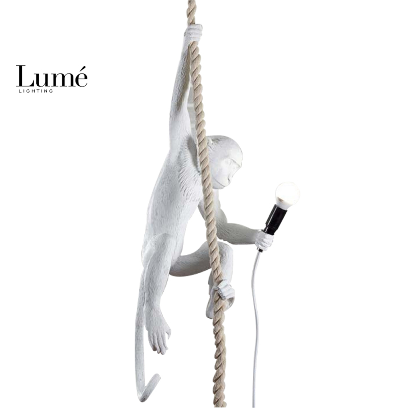 REGINA 20 VISILICA BELA