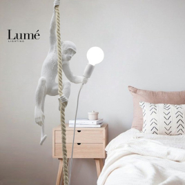 REGINA 20 VISILICA BELA